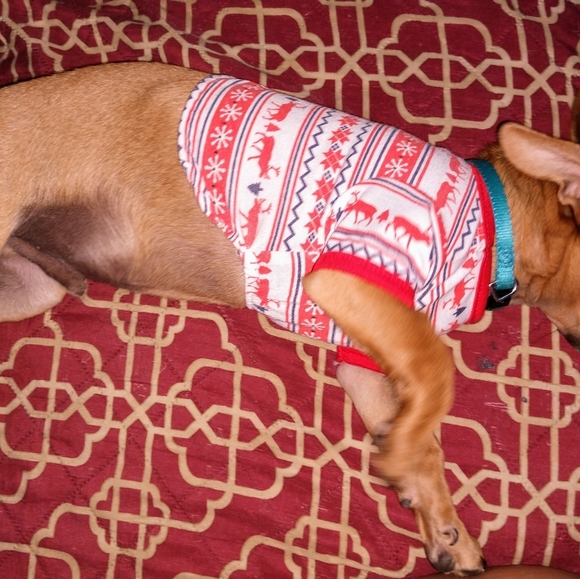 Not for sale - Picture 1 of 1